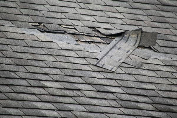 Professional Roof Leak Detection Service
