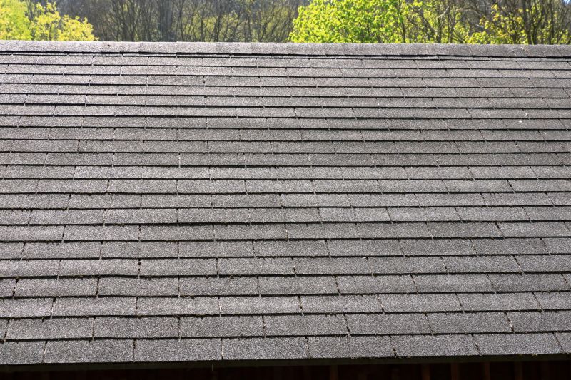 Slate Roofing Service detail